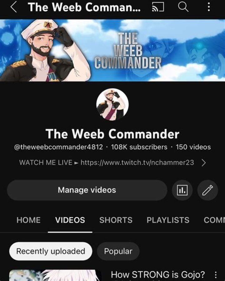 The Weeb Commander video statistics